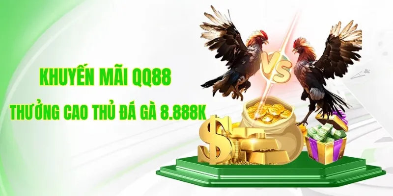 Sự kiện khuyến mãi QQ88 dành riêng cho cao thủ đá gà