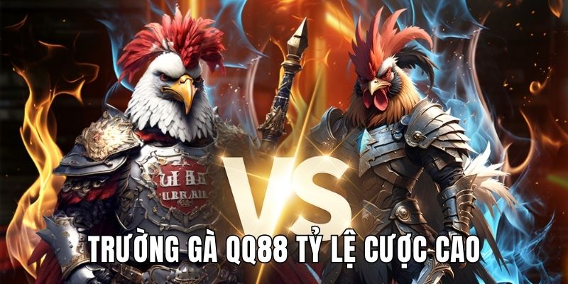 Đơn vị cập nhật tỷ lệ thưởng cao, quy trình giao dịch nhanh